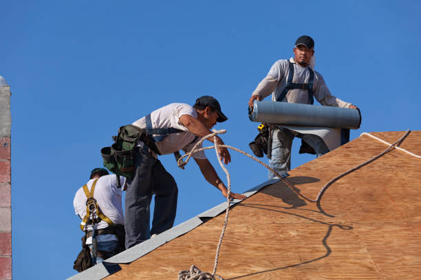 Best Roof Leak Repair  in Tlassee, AL