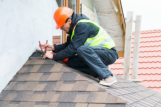 Best Roof Gutter Cleaning  in Tlassee, AL